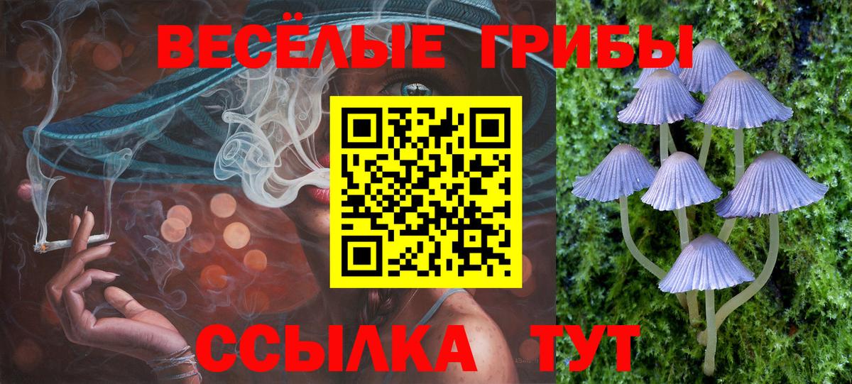 Галлюциногенные грибы MAGIC MUSHROOMS  Вход с VPN  наркотики  Воркута 